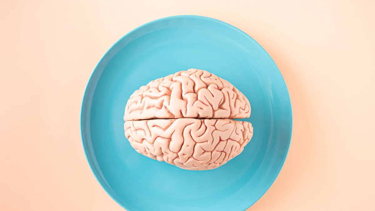 A model of a human brain