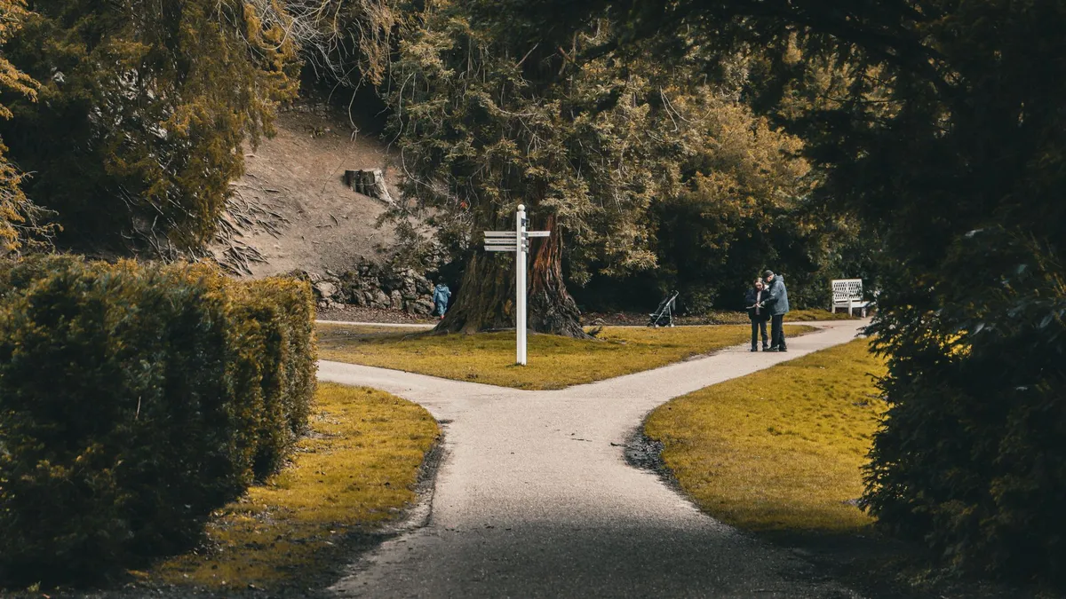 A path forking in two directions
